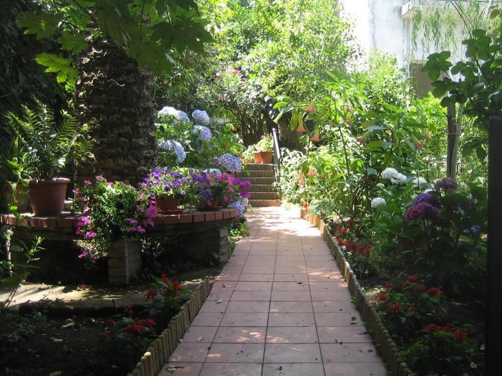 Villa Rosa Etna Apartments Zafferana Etnea Bagian luar foto